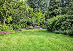 Optimiser l'expérience du jardin à Massoules