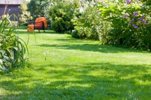 travaux jardin et paysage Massoules